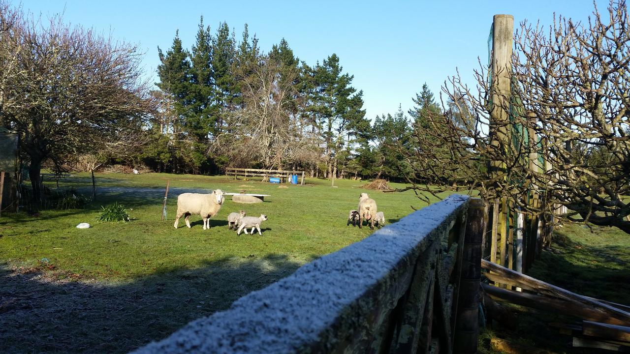 Bed and Breakfast Woodbury Farm Takanini Exterior foto